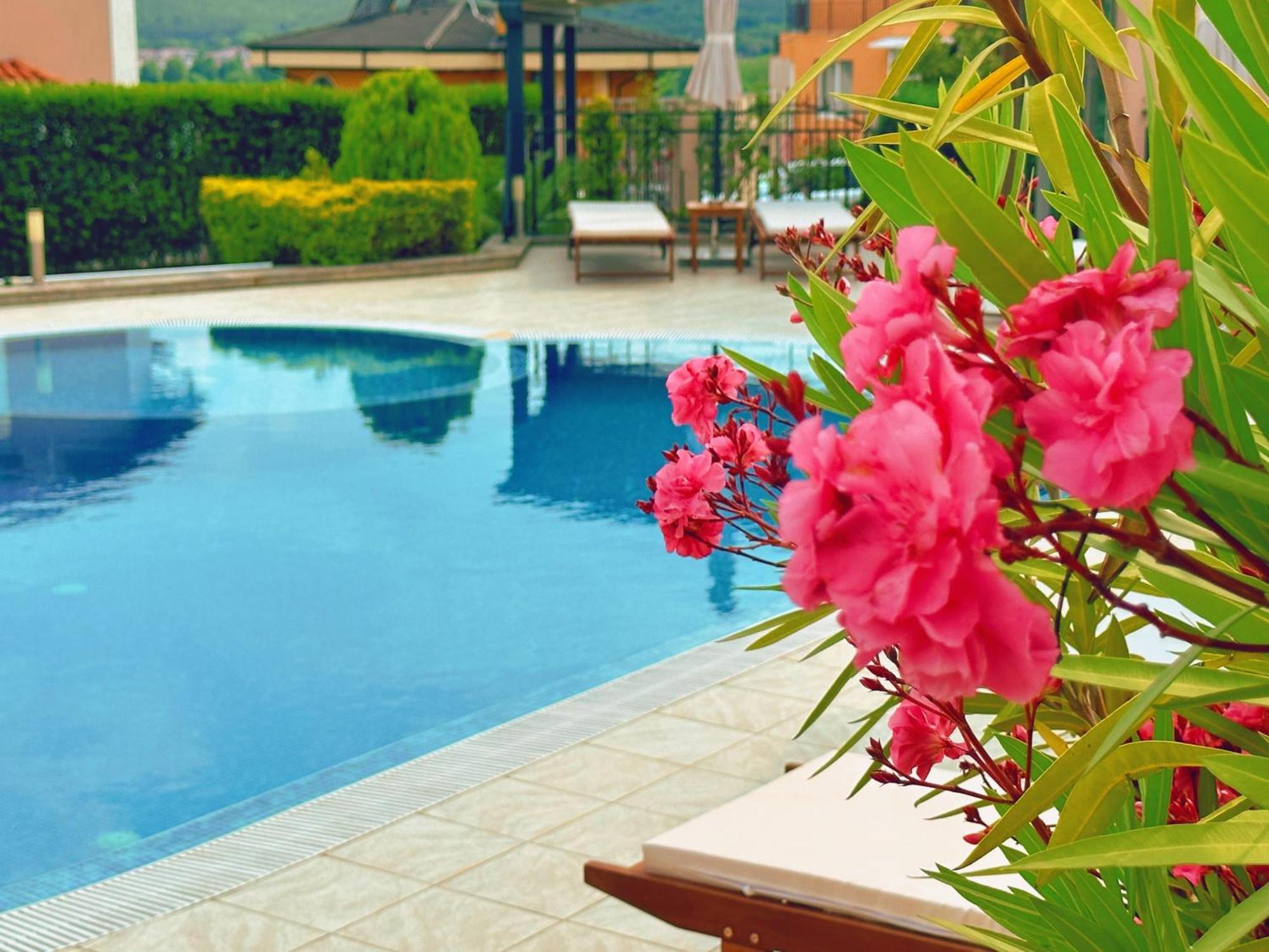 Villa Mia โซโซโปล ภายนอก รูปภาพ